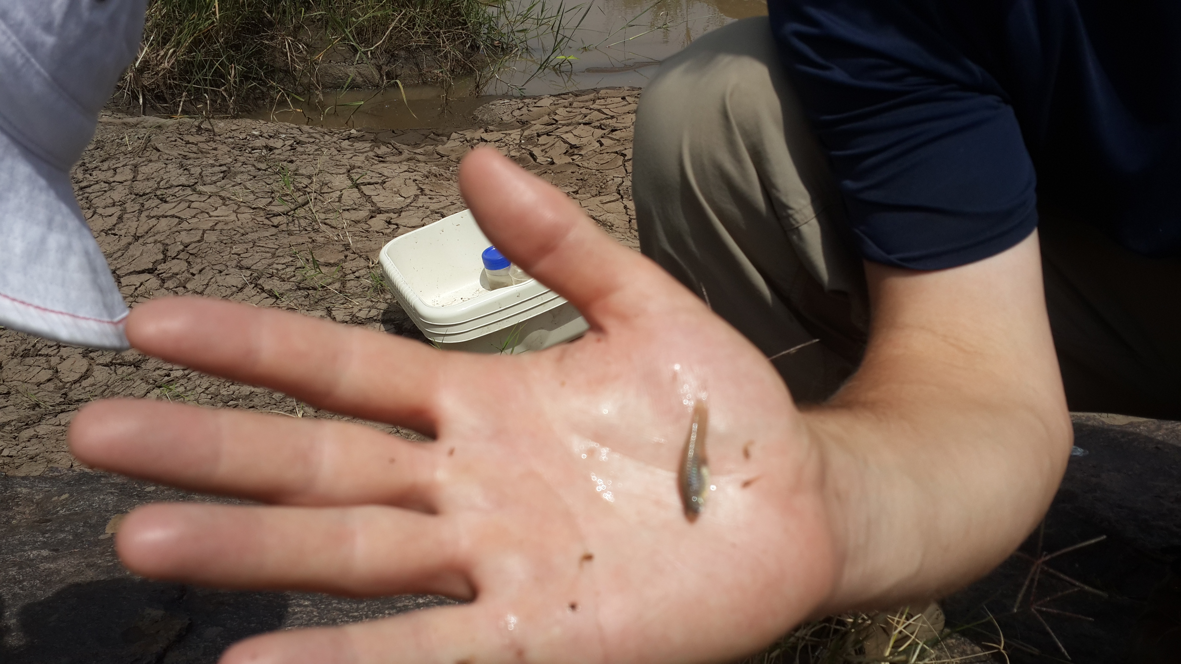 Science driven field work image 11